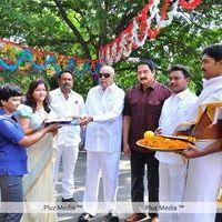 Suman New Movie Launch - Pictures | Picture 109347